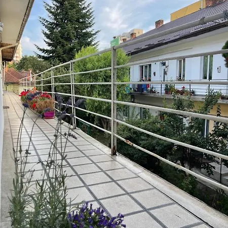 Διαμέρισμα Cityviews *