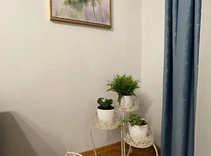 Cityviews Apartman *